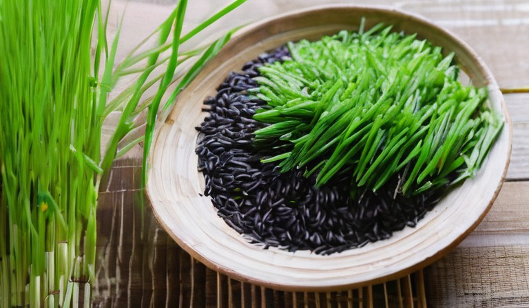 Is it possible to cultivate rice in your own backyard?