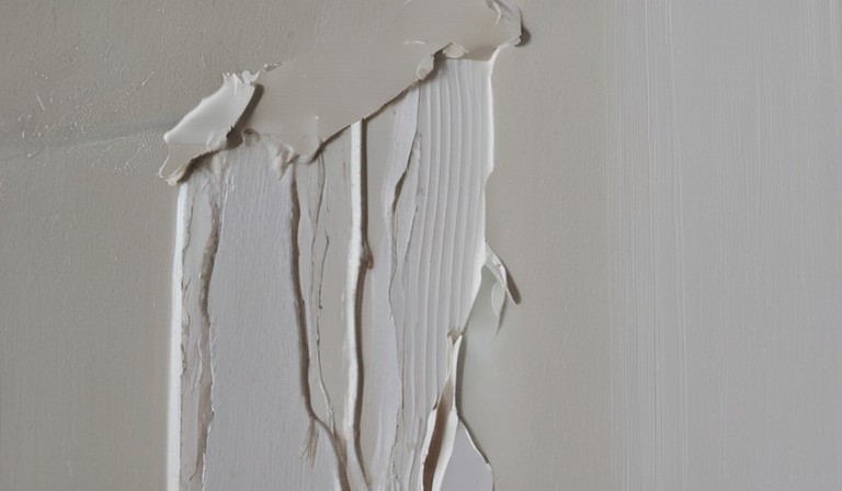 Understanding the Causes and Solutions for Paint Peeling Off Walls