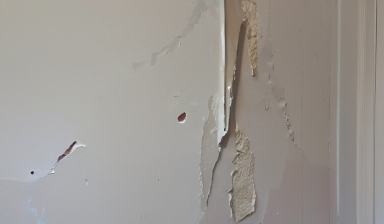 The Causes and Solutions for Paint Peeling Off Walls